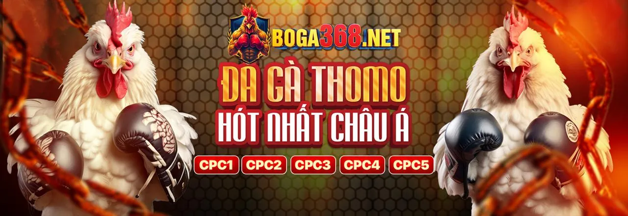 Sự kiện thể thao đỉnh cao với ứng dụng 6ff apk