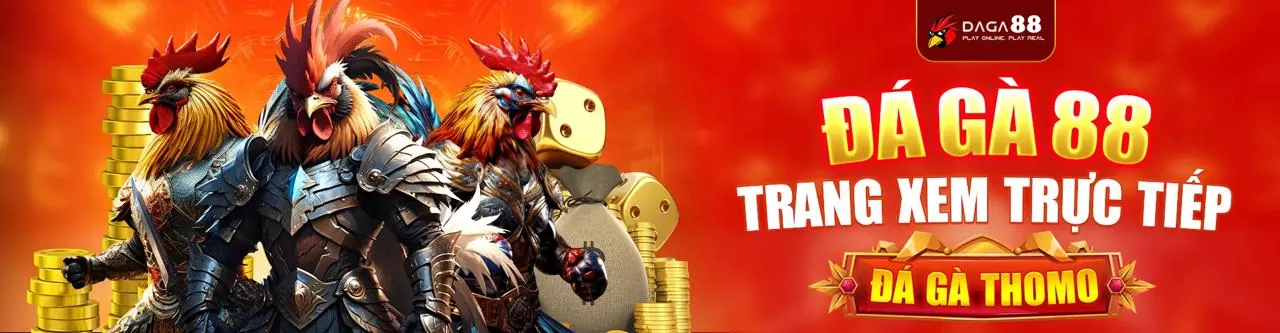 Đội ngũ hỗ trợ khách hàng chuyên nghiệp của 6ff apk
